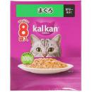 カルカンパウチ　1歳まぐろ60g×8